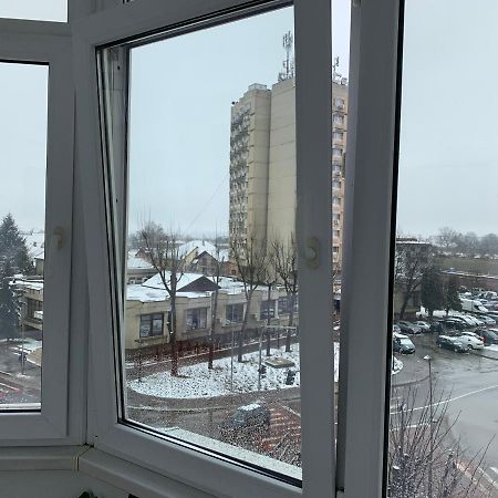 Apartament Viorela Алба-Юлия Экстерьер фото